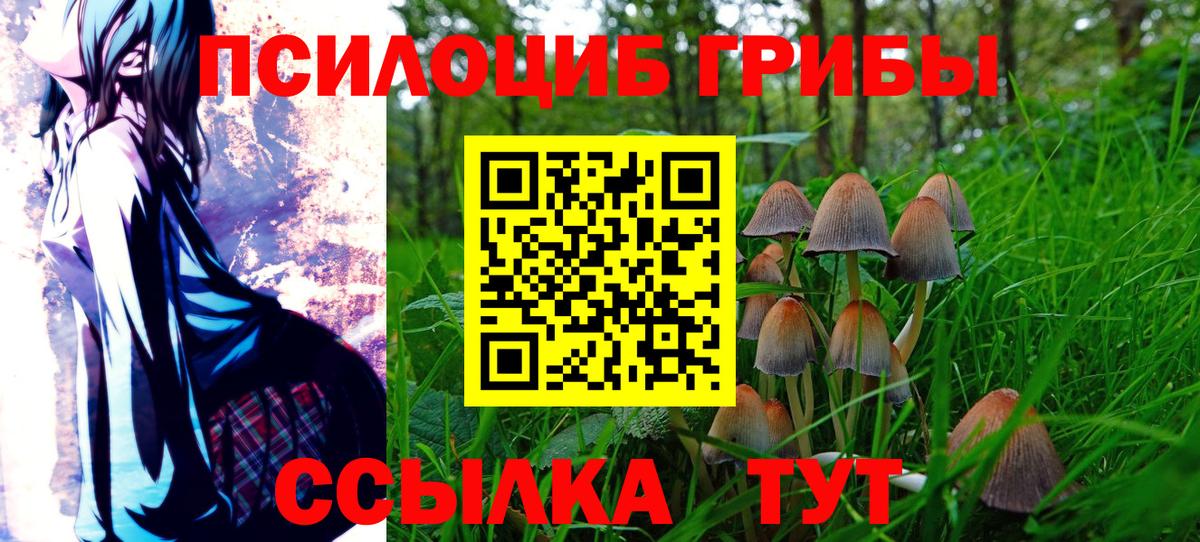 Псилоцибиновые грибы ЛСД Кудымкар